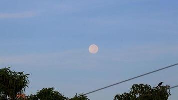 Close up of full moon fullmoon shining brightly in Mexico. video