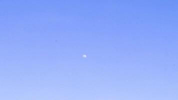dichtbij omhoog van vol maan volle maan schijnend helder in Mexico. video