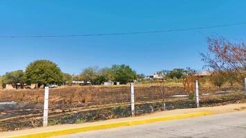 coloré rue avec Maisons paumes voitures jungle puerto escondido Mexique. video