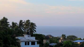 View of the Pacific Ocean and tropical jungle panorama Mexico. video