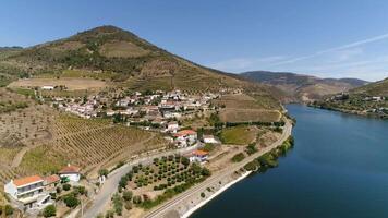 Douro Wine Region. Beautiful Nature Landscape Portugal video