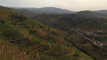 Amazing Nature Landscape from Douro Valley Portugal Aerial View video