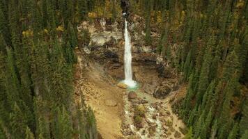 Aerial View of the beautiful Laughing falls video