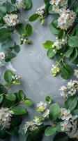 Cluster of White Flowers and Green Leaves photo