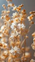 White Flowers Painting on a Wall photo