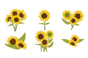 Sunflower set design illustration vector