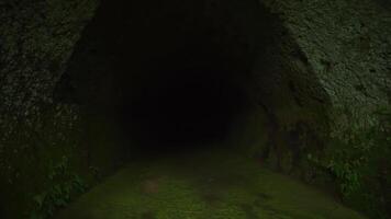 misterioso oscuro túnel Entrada con cubierto de musgo paredes líder dentro el desconocido, evocando un sentido de aventuras y exploración. video