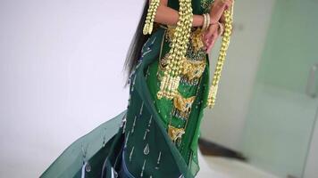 Frau im traditionell indisch Kleidung mit kompliziert Gold Schmuck. video