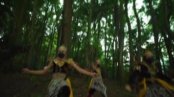 Traditional dancers in vibrant costumes and masks performing in a lush green forest, showcasing cultural heritage video
