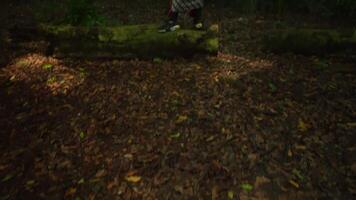 Close-up of a person's feet standing on a fallen log in a lush forest, surrounded by scattered leaves and greenery video