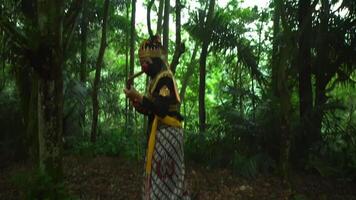 Close-up of a person's feet standing on a fallen log in a lush forest, surrounded by scattered leaves and greenery video