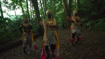 traditionell balinesisch Tänzer im aufwendig Kostüme und Masken durchführen im ein üppig Wald Einstellung, präsentieren kulturell Erbe video