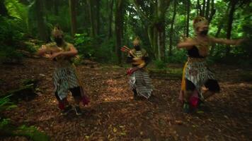 três artistas dentro tradicional balinesa fantasias e máscaras dançando dentro uma exuberante floresta contexto, exibindo cultural herança video
