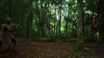 Three musicians wearing traditional outfits playing violins in a lush green forest, surrounded by ancient trees and ferns video