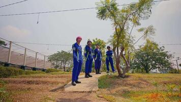 trabajadores en azul uniformes caminando en un camino con arboles y poder líneas en el antecedentes en un soleado día. video