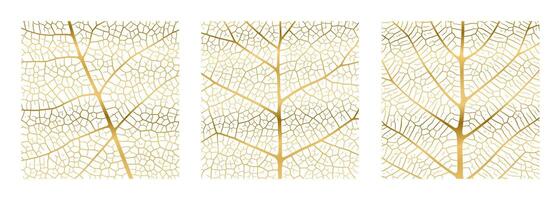 Leaf vein texture abstract background with close up plant leaf cells ornament texture pattern. vector