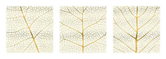 Leaf vein texture abstract background with close up plant leaf cells ornament texture pattern. vector