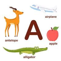 Preschool english alphabet. L letter. lama, llama, lamp, lion, lemon. Alphabet design in a colorful style. Educational poster for children. Play and learn. vector