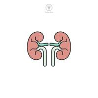 Kidneys Icon. Medical or Healthcare theme symbol illustration isolated on white background vector