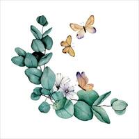 Watercolor butterflies and green eucalyptus vector