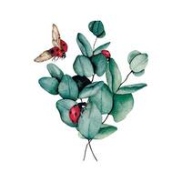 ramo de flores de verde eucalipto y mariquitas vector