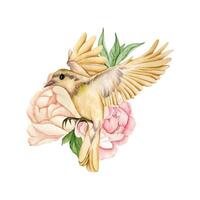 Watercolor yellow bird and pink flowers vector