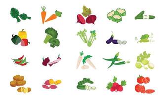 Vegetable Design Collection. vector
