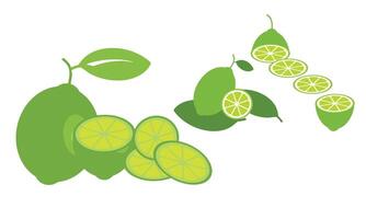 Lemon Fruit Design. vector