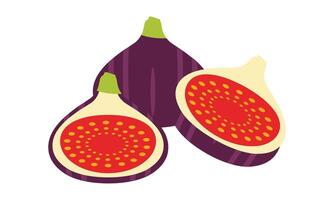 Fig Fruit Design. vector