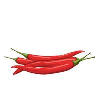 Red hot peppers. Design template or clipart for culinary backgrounds - products, spice package, recipes, web, app decorations, cooking books, etc vector