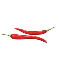 rojo caliente pimientos. diseño modelo o clipart para culinario antecedentes - productos, especia paquete, recetas, web, aplicación decoraciones, Cocinando libros, etc vector