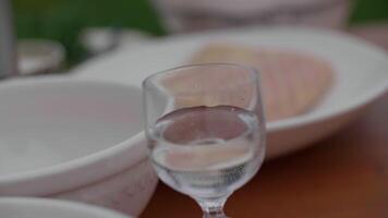 Disparo de espíritu soportes en el mesa entre blanco platos, un alcohólico vodka Disparo video