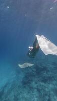 Woman freediver and sting ray swimming underwater in transparent tropical sea. Vertical footage video