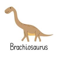 Brachiosaurus dinosaur isolated on white background. vector