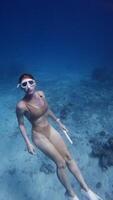 Portrait of woman with diving mask glides underwater in tropical blue sea. Freediving on deep ocean video