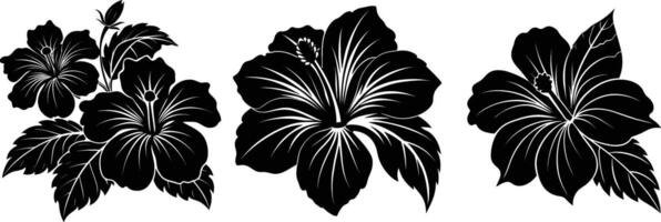 black silhouette of hibiscuses flowers illustration vector