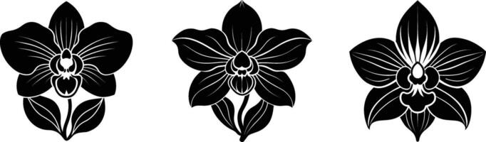 Silhouette set of a orchid flower vector