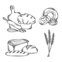 Bakery goods and baking tools. graphics illustration. Set from compositions with bread loafs, cinnamon bun and bagel. Chef hat, cutting board with spikelet bunch. Clip art for menu, app, bistro vector