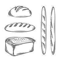 Bread Bakery products set. graphics illustration, isolated. Baguetts, rond rye bread and French loaf. Sketch of traditional bread symbol. Flat design food for infographic, menu, cookbook, app. vector