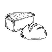 pan con redondo un pan. panadería bienes trigo y centeno. gráficos ilustración lineal, aislado. bosquejo de tradicional comida productos modelo para envase, libro de cocina, menú, escaparate, aplicación, sitio web. vector