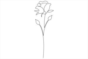 Rose flower continuous one line art drawing of outline illustration Rose day, valentine day concept vector