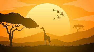 Landscape illustration of savanna field with giraffe and african tree vector