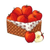 Red apples Basket. Basket of fruits illustration. Organic design concept. Hand Drawn fruits collection. Basket with fruits. Farm products. vector