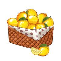 Lemons Basket. Basket of fruits illustration. Organic design concept. Hand Drawn fruits collection. Basket with fruits. Farm products. vector