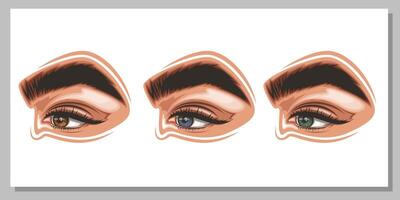 vistoso De las mujeres ojos con constituir. ojo maquillaje de cerca aislado. belleza salón social medios de comunicación diseño. belleza salón bandera. dibujado a mano ilustración hembra ojos colocar. vector