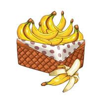 Bananas Basket. Basket of fruits illustration. Organic design concept. Hand Drawn fruits collection. Basket with fruits. Farm products. vector