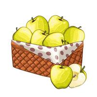 verde manzanas cesta. cesta de frutas ilustración. orgánico diseño concepto. mano dibujado frutas recopilación. cesta con frutas granja productos vector