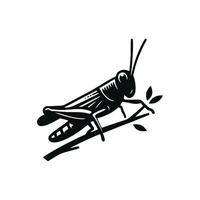 Grasshopper logo icon.grasshopper animal logo on a twig. black and white grasshopper logo design. logo template vector