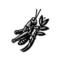 Grasshopper logo icon.grasshopper animal logo on a twig. black and white grasshopper logo design. logo template vector