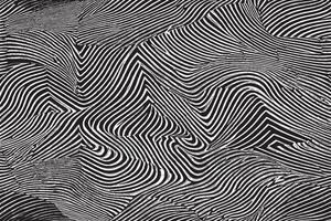 black and white monochrome overlay texture image for background texture vector